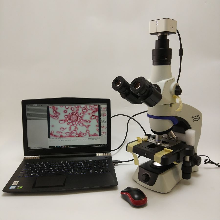 生物显微镜CX33+科学级显微相机