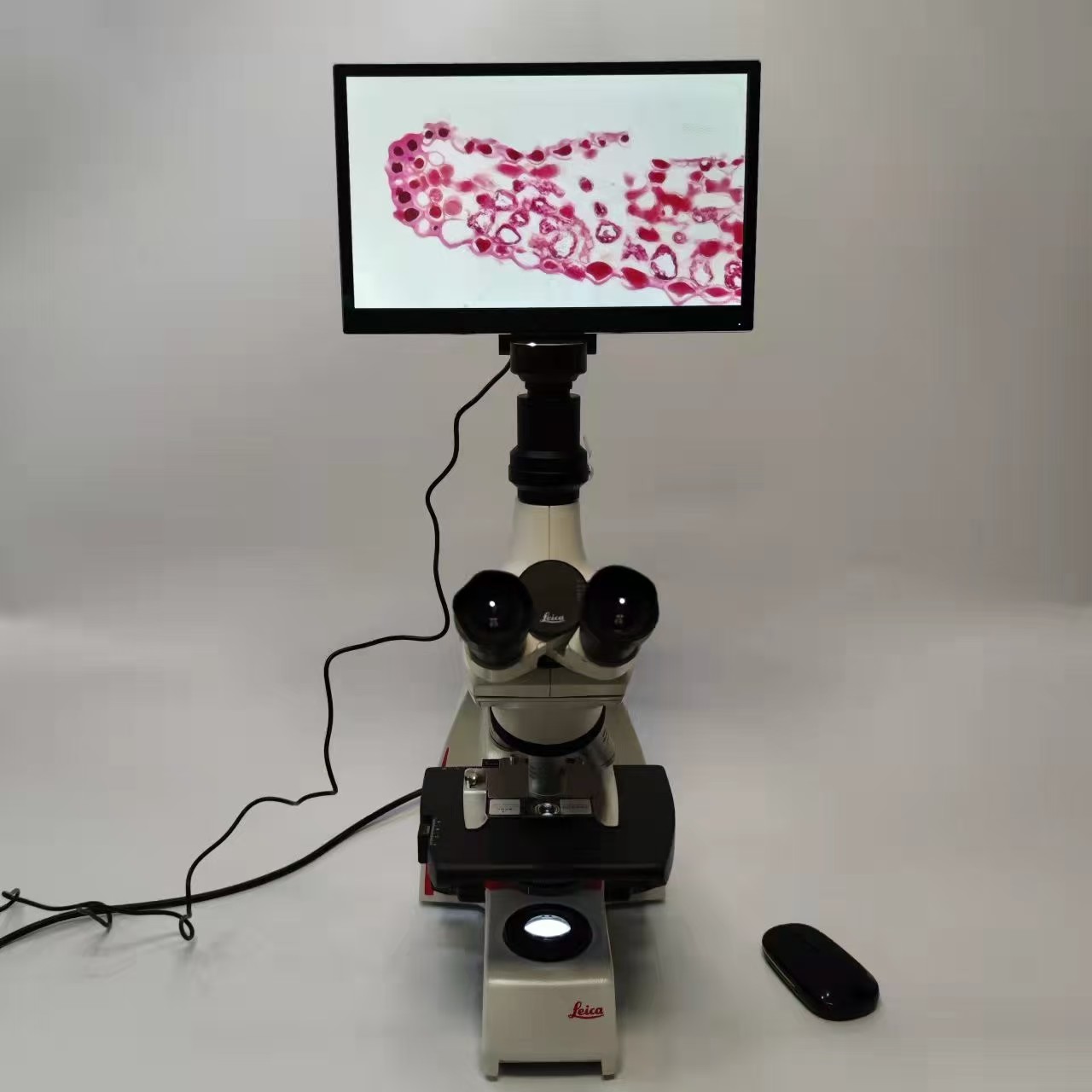 生物显微镜DM500+12英寸高清显微成像系统