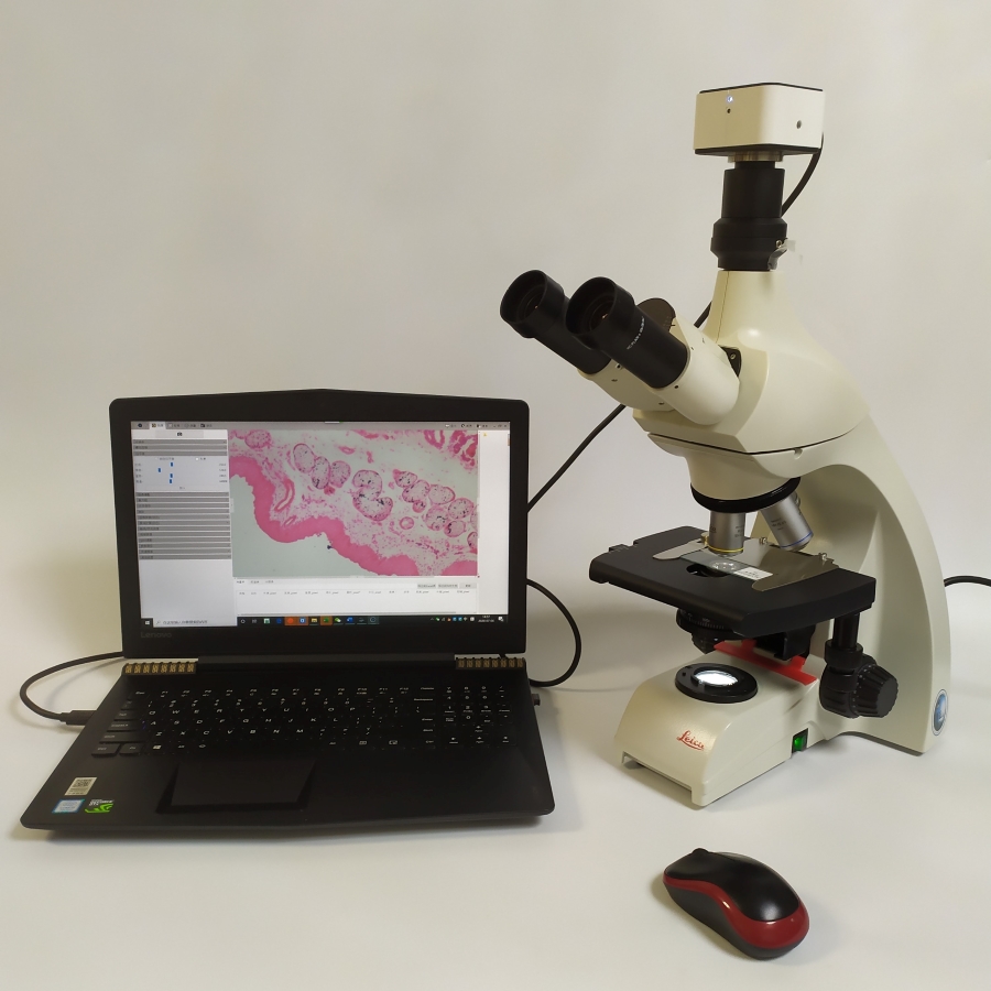 生物显微镜DM500+科学级显微相机