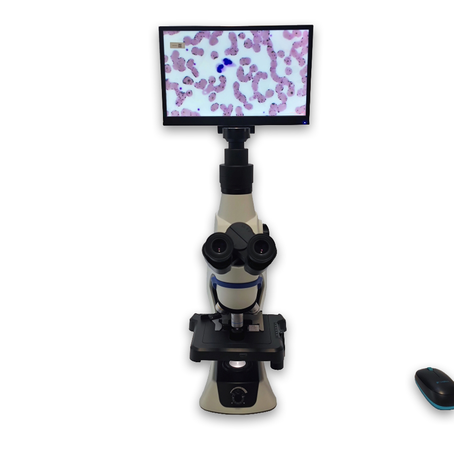 生物显微镜CX33+12英寸显示屏