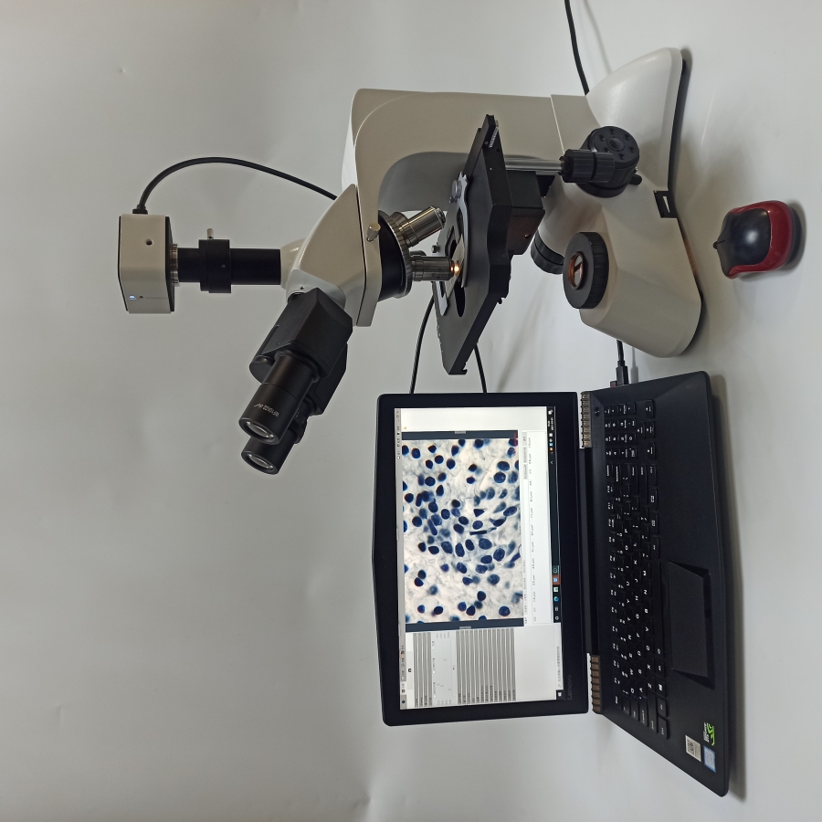 科研级三目生物显微镜ZL500LT